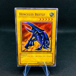 Hercules Beetle - Tournament Pack 1